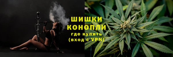 СК Липки