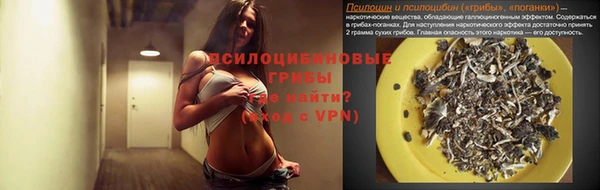 прущий лед Ладушкин