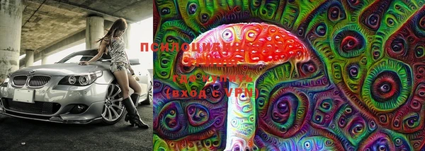 мдпв Лагань