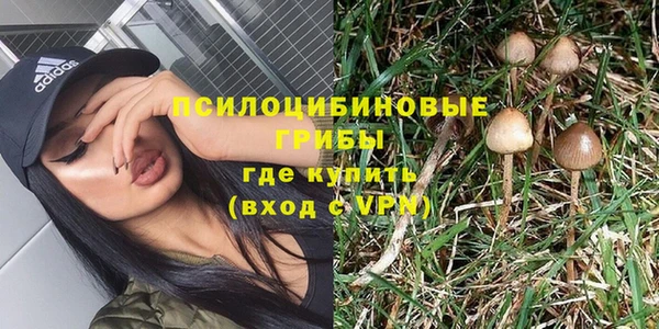 прущий лед Ладушкин