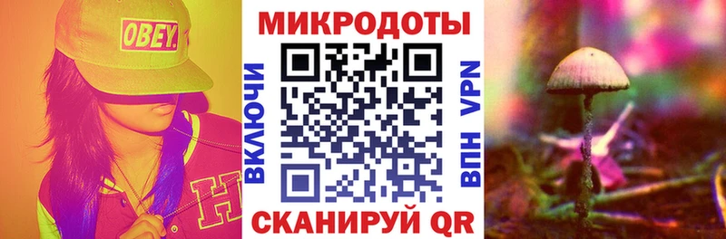 хочу наркоту  Макушино  Галлюциногенные грибы MAGIC MUSHROOMS 